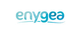 Logo Enygea