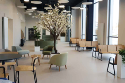Réalisation CH Hazebrouck- Mot de passe mobilier